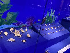 -海合安青岛极地海洋公园