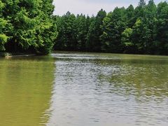 -上海海湾国家森林公园