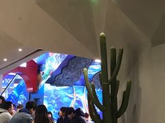 -LELECHA乐乐茶(上海五角场万达广场店)