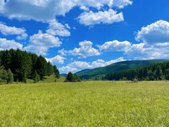 -塞罕坝国家级自然保护区