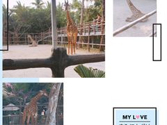 -三亚千古情景区游客中心-接待中心