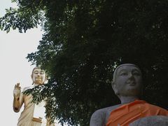 -西双版纳勐泐文化旅游区