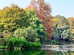 -杭州植物园