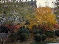 -北京友谊宾馆·聚祥园