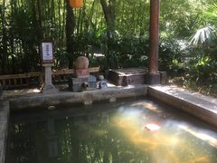 -西安国际创新人才交流中心•药浴温泉