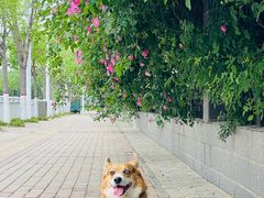 -河南牧业经济学院(龙子湖校区)
