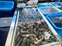 水产区-南沙十九涌渔人码头-南门