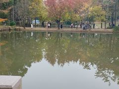 -白马涧龙池景区