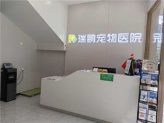 -瑞鹏宠物医院·微创内窥镜·骨外科·牙科(翠竹分院)