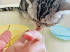 -7cake憩刻生日蛋糕·下午茶(无锡店)