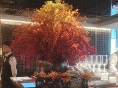 -秀儿四九城·新京菜(亚运村鸟巢店)