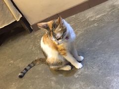 -看书吧(体育东横路店)