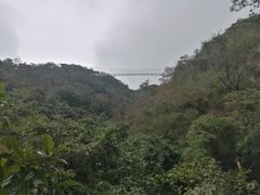 -牛鱼嘴原始生态风景区