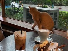 -咖法森林·咖啡  酒吧(天河店)