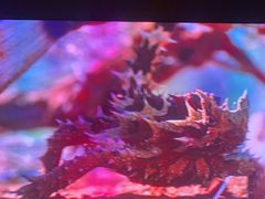 -瑞虹新天地月亮湾