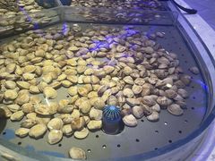 -澜悦港海鲜体验主题餐厅