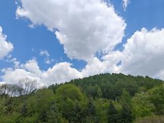 -横道河子东北虎林园