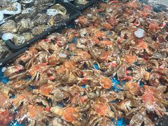 -半岛听涛蒸汽海鲜自助(K11店)