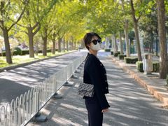 -三里屯东五街银杏大道