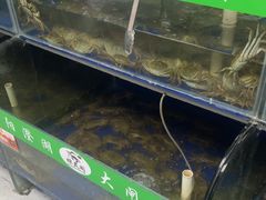 -阳澄湖大闸蟹·琼灵阁牌品牌连锁(吴中总店)
