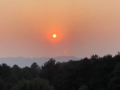 -铁山坪森林公园