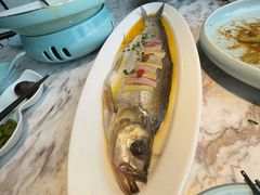 鸡汁白鱼-淮扬韵(凤八市政府店)