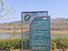 -南湾湖