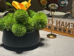 -阿五黄河大鲤鱼(河南长垣店)