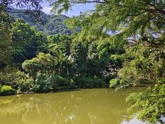 -深圳仙湖植物园