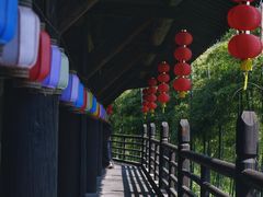 -大唐贡茶院
