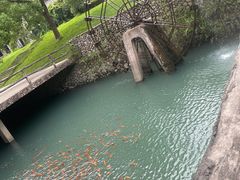 -温州永嘉书院