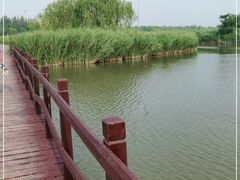 -西青郊野公园