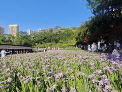 -龙头寺公园