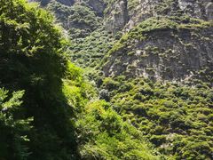 -少华山国家森林公园