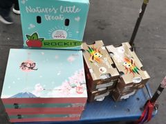 -上海龙吴水胜海发市场