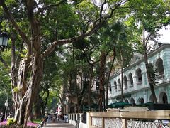 -星巴克臻选(广州沙面店)