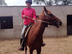 iphone_upload_pic-沈阳静安马场