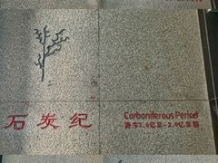 -中国第四纪冰川遗迹陈列馆