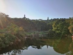 -巢湖姥山岛