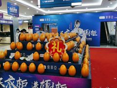 -索菲亚衣柜橱柜家具全屋定制(十里河居然之家店)