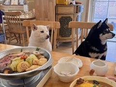 -柴の食堂·日式家庭料理·熊之肆(大学路店)