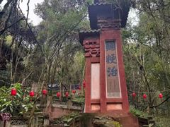 -成都老君山