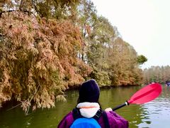 -上海海湾国家森林公园