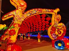 -沈阳奥体冰雪嘉年华