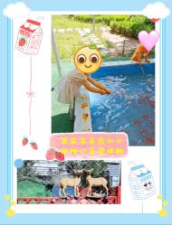 -萌宠亲子动物乐园(槐房万达店)