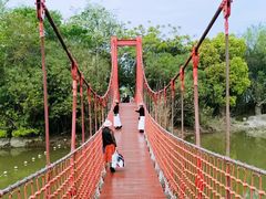 -上海吴淞炮台湾国家湿地公园