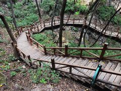 -大岭沟猕猴桃谷风景区