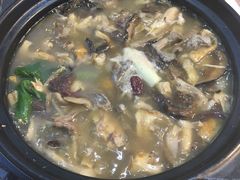 -马帮菜馆·美味野生菌