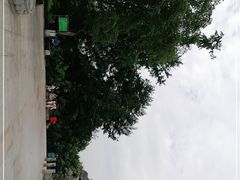 -龙头寺公园