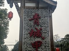 -青城甲(青城山店)